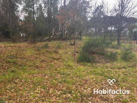 Terreno com viabilidade construtiva em Santar