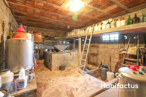 Moradia isolada em Pinheiro a três minutos do centro do Carregal do Sal