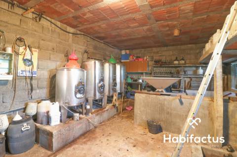 Moradia isolada em Pinheiro a três minutos do centro do Carregal do Sal