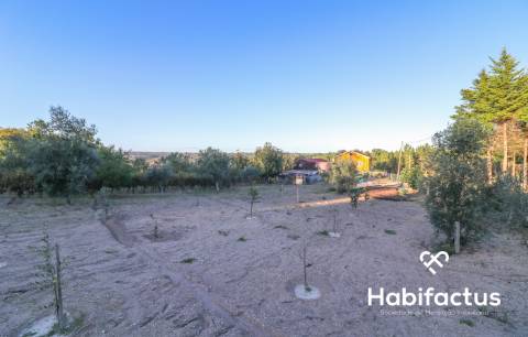 Moradia isolada em Pinheiro a três minutos do centro do Carregal do Sal