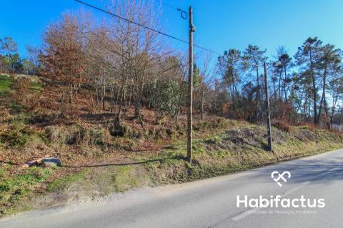 Terreno Rustico em Viseu