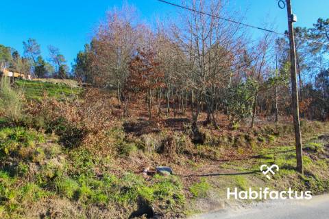 Terreno Rustico em Viseu