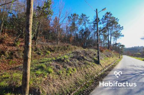 Terreno Rustico em Viseu