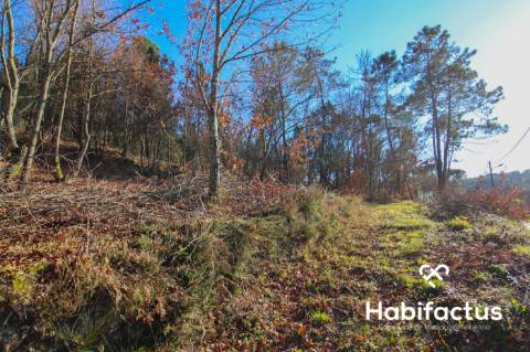 Terreno Rustico em Viseu