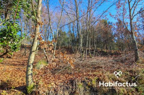 Terreno Rustico em Viseu