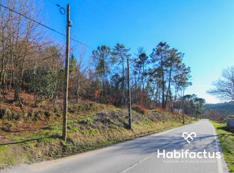 Terreno Rustico em Viseu