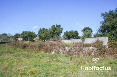Terreno em Oliveira do Hospital