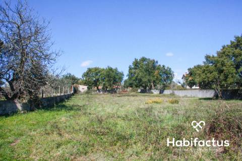 Terreno em Oliveira do Hospital