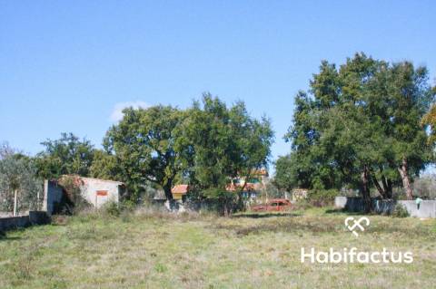 Terreno em Oliveira do Hospital