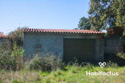 Terreno em Oliveira do Hospital