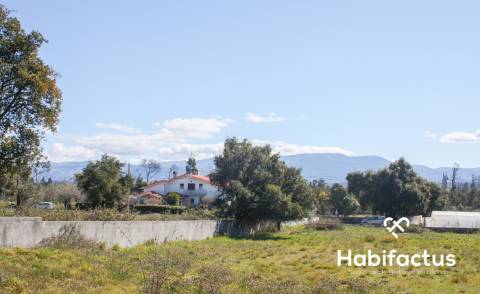 Terreno em Oliveira do Hospital