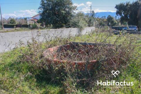 Terreno em Oliveira do Hospital