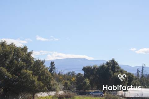 Terreno em Oliveira do Hospital