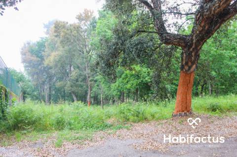 Terreno para construção em Viseu