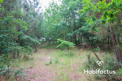 Terreno para construção em Viseu