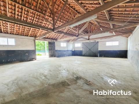 Armazém e Oficina para Venda em Viseu