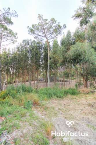 Terreno para venda em Viseu