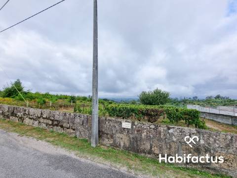 Terreno rústico em Lajeosa - Tondela