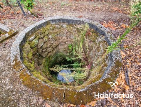 Terreno rústico em Lajeosa - Tondela