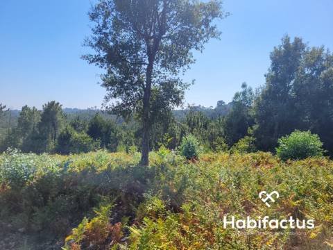 Terreno para venda em Viseu