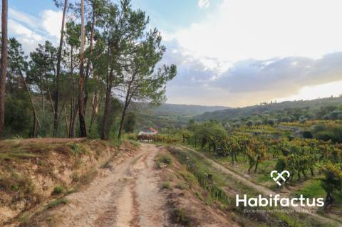 Terreno para venda em Silgueiros - Viseu