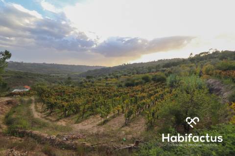 Terreno para venda em Silgueiros - Viseu