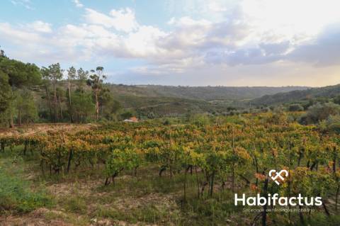 Terreno para venda em Silgueiros - Viseu