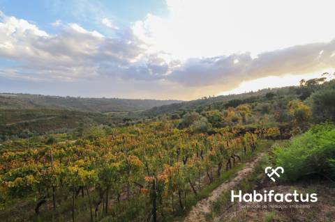 Terreno para venda em Silgueiros - Viseu