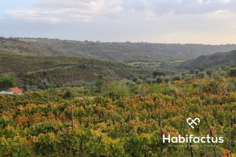 Terreno para venda em Silgueiros - Viseu