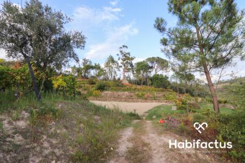 Terreno para venda em Silgueiros - Viseu