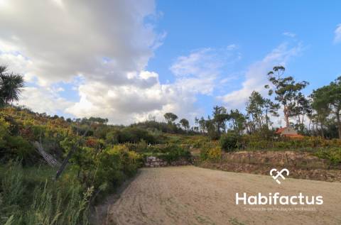 Terreno para venda em Silgueiros - Viseu