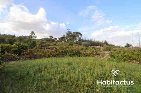 Terreno para venda em Silgueiros - Viseu