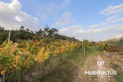 Terreno para venda em Silgueiros - Viseu