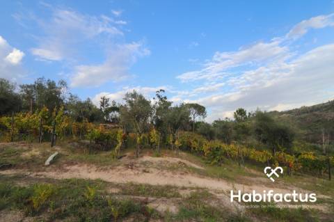 Terreno para venda em Silgueiros - Viseu