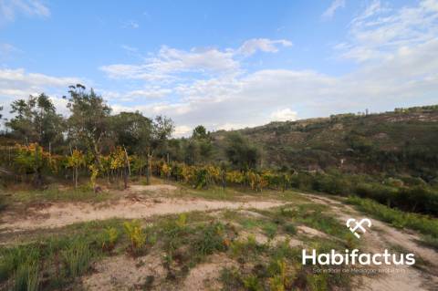 Terreno para venda em Silgueiros - Viseu