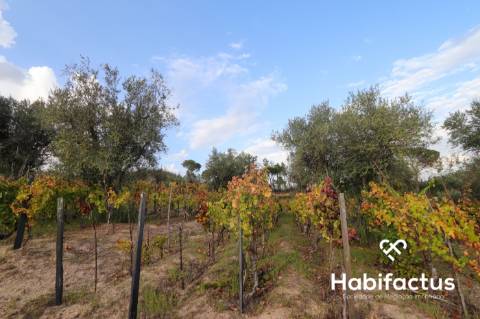 Terreno para venda em Silgueiros - Viseu