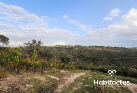 Terreno para venda em Silgueiros - Viseu