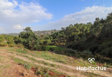 Terreno para venda em Silgueiros - Viseu