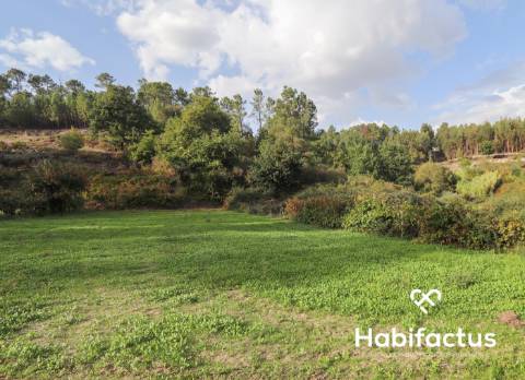 Terreno para venda em Silgueiros - Viseu
