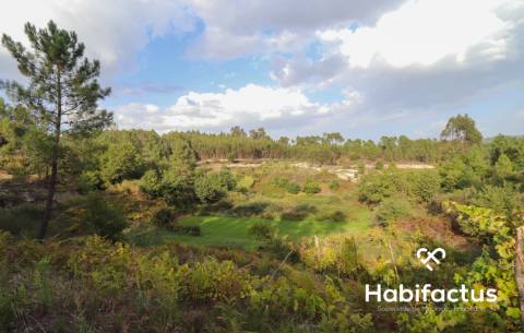 Terreno para venda em Silgueiros - Viseu