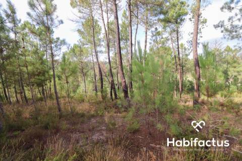 Terreno para venda em Silgueiros - Viseu