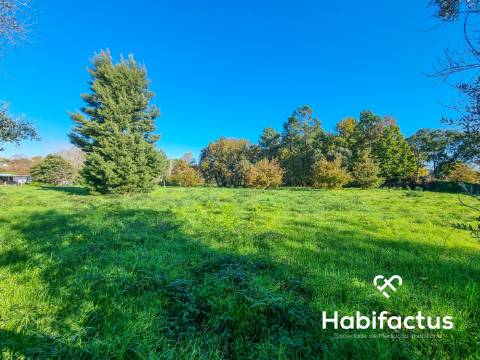 Terreno para venda em Canas de Santa Maria, Tondela