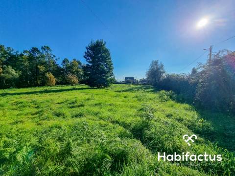 Terreno para venda em Canas de Santa Maria, Tondela
