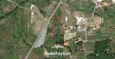 Terreno Rustico, na Cunha Baixa