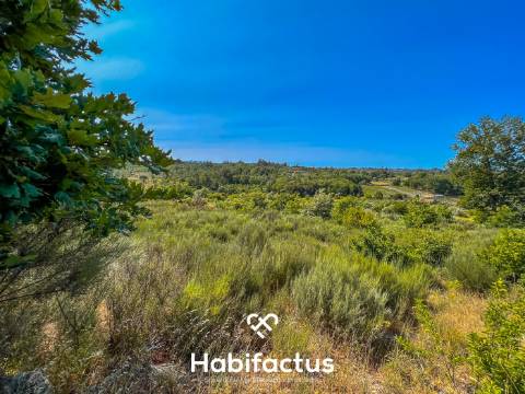 Com área de 8103.92 m2, com possibilidade de construção - Mangualde