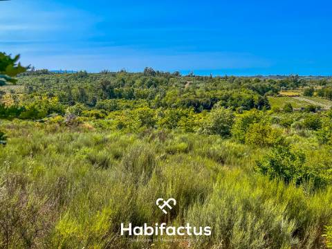 Com área de 8103.92 m2, com possibilidade de construção - Mangualde