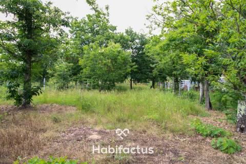 Terreno ao lado do Pingo Doce de Tondela