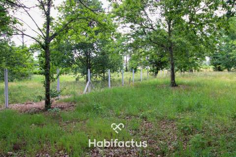 Terreno ao lado do Pingo Doce de Tondela