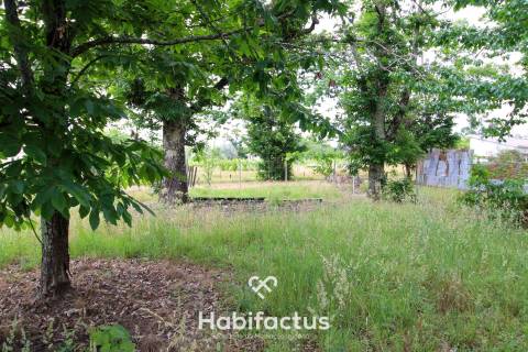 Terreno ao lado do Pingo Doce de Tondela