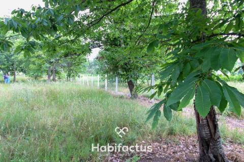 Terreno ao lado do Pingo Doce de Tondela